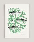 Poster „Makrelen“ (50 × 70 cm)