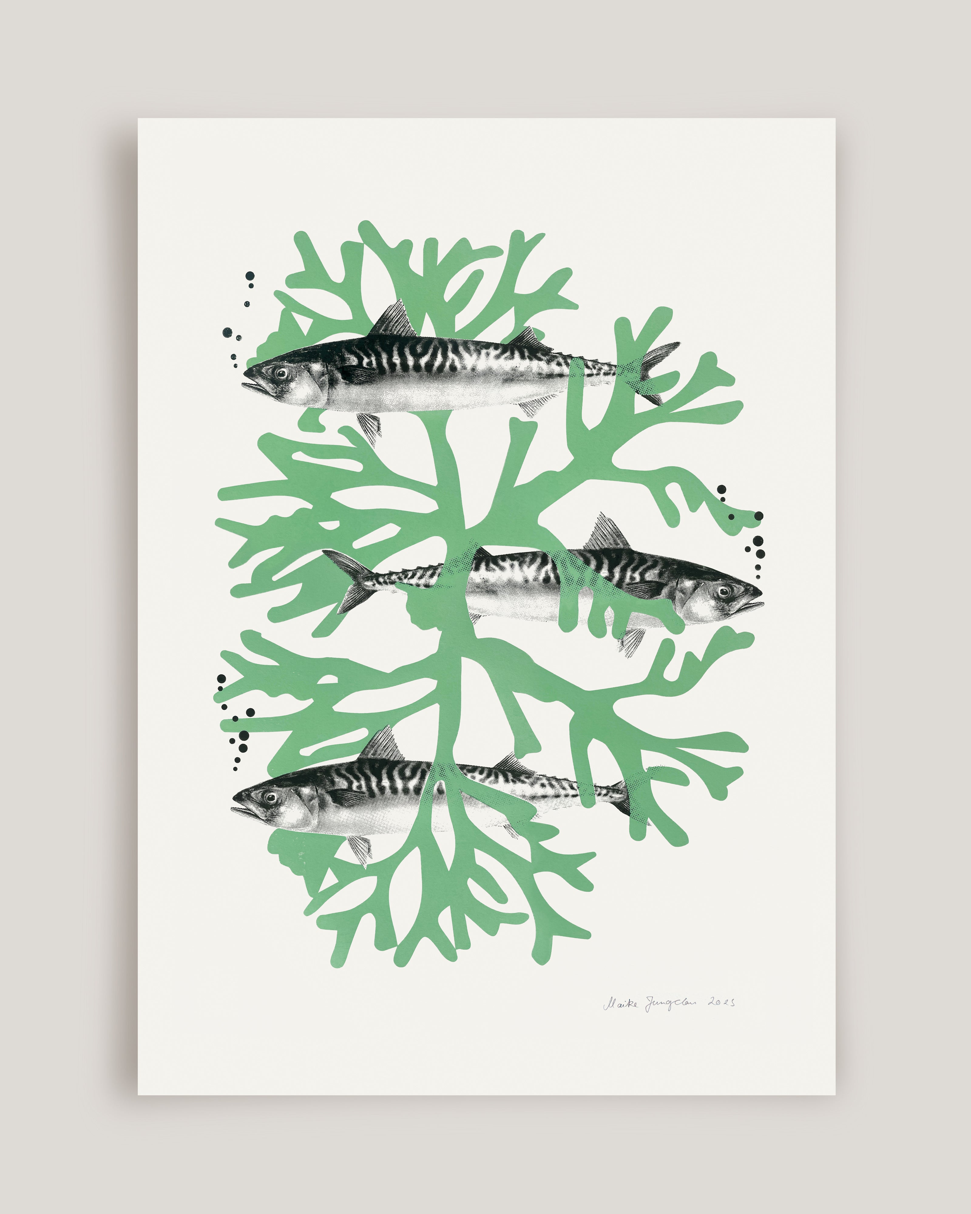 Poster „Makrelen“ (50 × 70 cm)